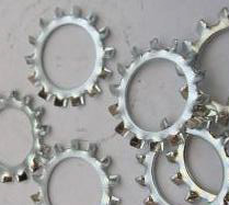 STAR WASHER S/S EXTERNAL  1/4 20-16 (100/BOX)