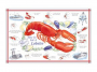 HOW TO EAT A LOBSTER PAPER PLACE MAT 12 PACK