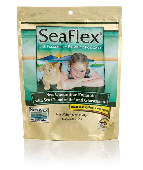 SEA FLEX CAT TREAT 6 OZ BAG SEA CUCUMBER