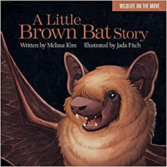 BOOK A LITTLE BROWN BAT STORY BY MELISSA KIM