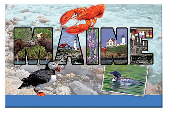 MAINE PHOTO MAGNET