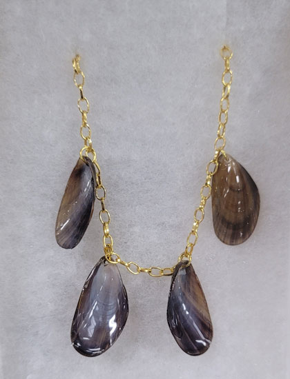 NECKLACE BROWN SHELLS W/24" GOLD CHAIN
