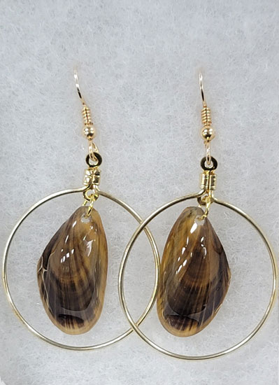 EARRINGS BROWN SHELL W/GOLD OVAL SETTING FRENCH HOOKS