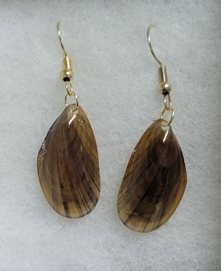 EARRINGS BROWN SHELL W/GOLD WIRE FRENCH HOOKS