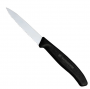 VICTORINOX KNIFE PARING 3.25" SERRATED BLACK LARGE HANDLE (24 / BOX)