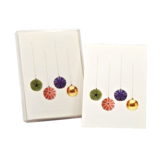 CHRISTMAS NOTE CARDS SEA URCHIN