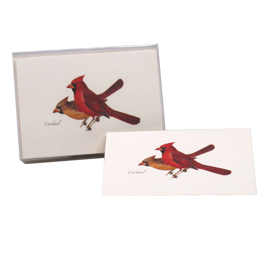 BOXED NOTE CARDS CARDINAL