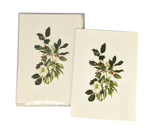 CHRISTMAS NOTE CARDS HELLEBORE & HOLLY