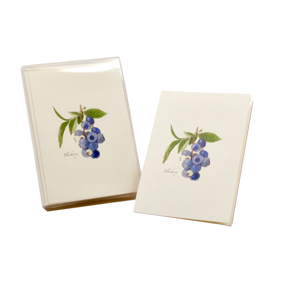 BOXED NOTE CARDS BLUEBERRY