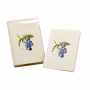 BOXED NOTE CARDS BLUEBERRY