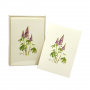 BOXED NOTE CARDS LUPINE