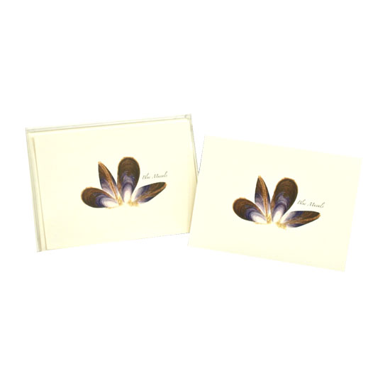 BOXED NOTE CARDS BLUE MUSSELS