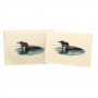 BOXED NOTE CARDS LOON PAIR