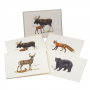 BOXED NOTE CARDS MAINE WILDLIFE