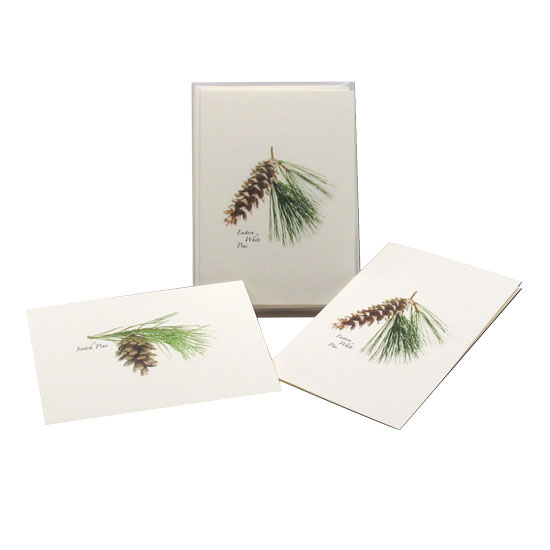 BOXED NOTE CARDS PINECONE ASSORTMENT