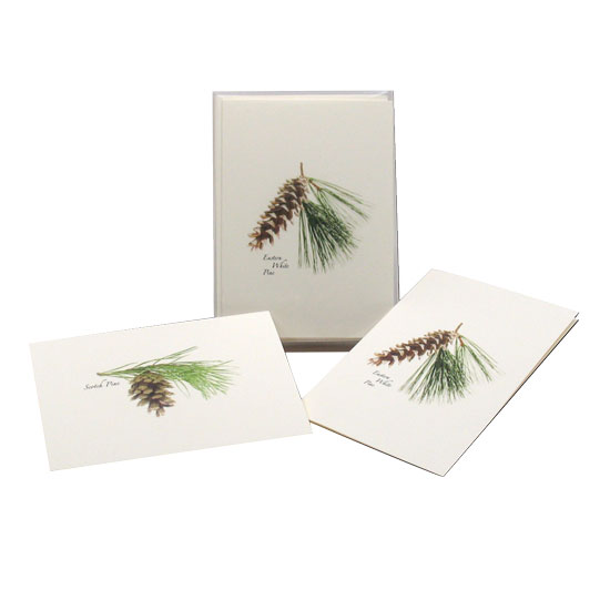 BOXED NOTE CARDS PINECONE ASSORTMENT