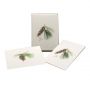 BOXED NOTE CARDS PINECONE ASSORTMENT