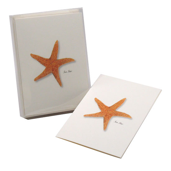 BOXED NOTE CARDS SEA STAR