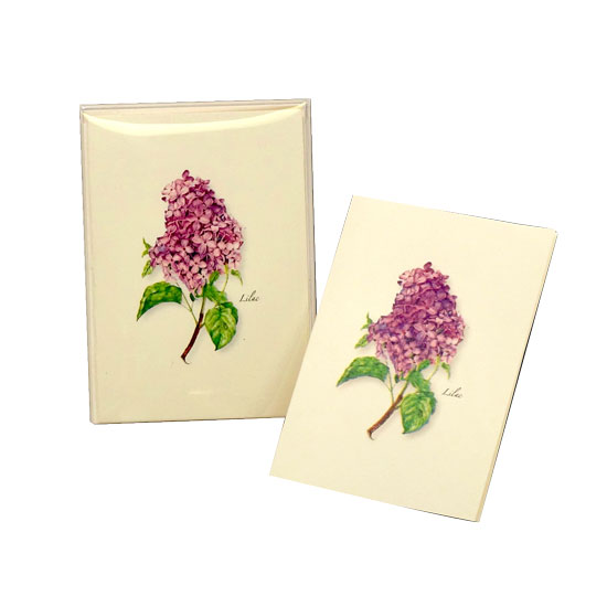 BOXED NOTE CARDS LILAC
