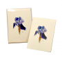 BOXED NOTE CARDS IRIS