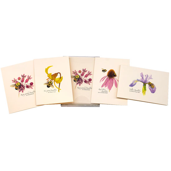 BOXED NOTE CARDS BUMBLEBEE ASSORTMENT