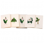 BOXED NOTE CARDS WOODLAND WILDFLOWER ASSORTMENT
