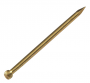 WIRE BRAD BRASS # 14 X 1.00" (BY POUND)