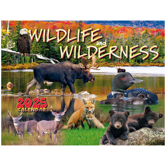 MAINE SCENE CALENDAR MAINE WILDLIFE & WILDERNESS 2025 EDITION