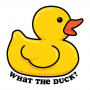 WHAT THE DUCK WEATHERPROOF STICKER