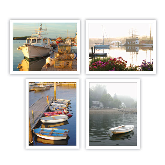 COASTAL VARIETY NOTECARDS BY WAYNE HAMILTON SET OF 8