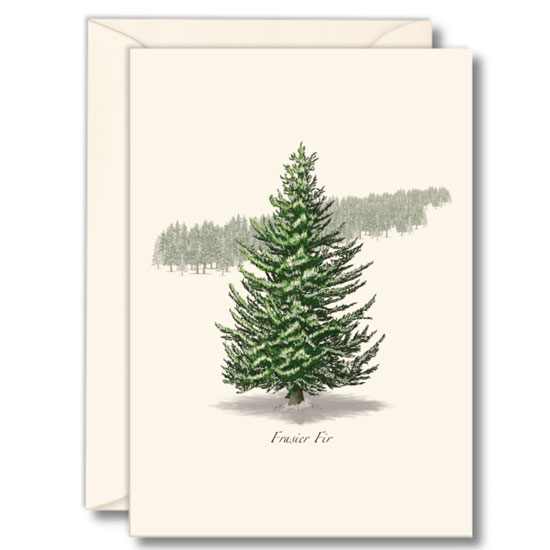 BOXED NOTE CARDS FRASIER FIR