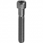 SOCKET SCREW CAP S/S 10-24 X 1.00"  (BOX 100)