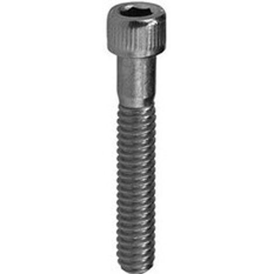 SOCKET SCREW CAP S/S 10-24 X 1.00" (BY EACH)