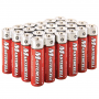 DORCY MASTERCELL AA ALKALINE BATTERIES (24 PACK)