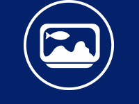 DEPTH SOUNDERS