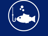 FISHING PLEASURE
