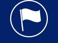 FLAGS
