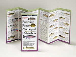 BOOK FRESHWATER FISH OF THE NORTHEAST IDENTFICATION