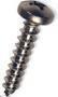TAPPING SCREW S/S PH PHIL 10X2.00 (BY/EA)