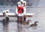 CHRISTMAS CARD LOONS OF WINTER