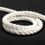 NEW ENGLAND ROPES PREMIUM 3 STRAND NYLON WHITE 3/8" (BY FOOT)