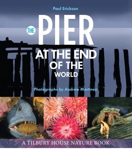 BOOK PIER AT THE END OF THE WORLD BY PAUL ERIKSON