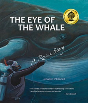 BOOK THE EYE OF THE WHALE BY JENNIFER O'CONNELL
