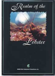 DVD REALM OF THE LOBSTER